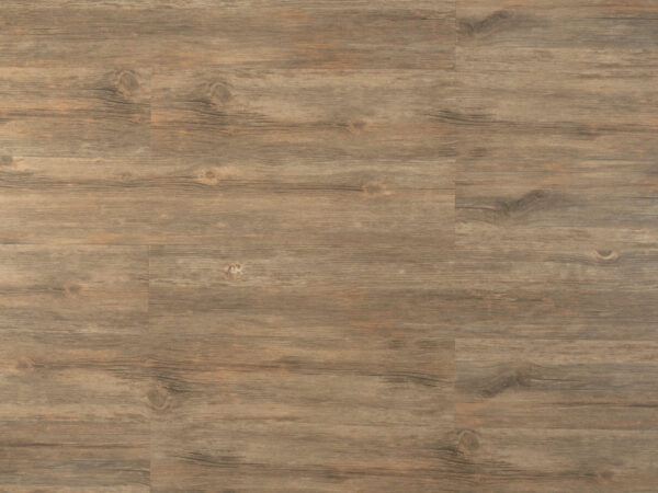Ambiente - Saddle Oak