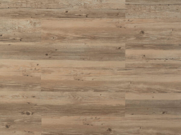 Ambiente - Sessile Oak
