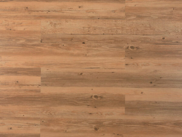 Ambiente - Brown Sessile Oak