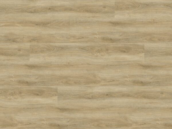 Ambiente TRC-8003