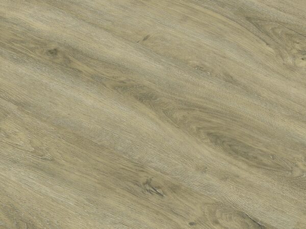 Ambiente TRC-8004_detail