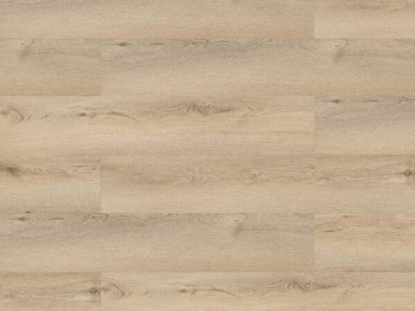 Ambiente TRC-8007