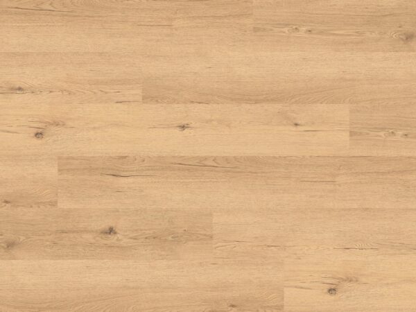 Ambiente TRC-8009