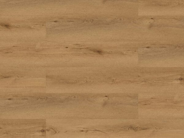 Ambiente TRC-8011