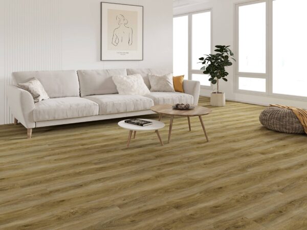 Ambiente TRC-8012 Photo
