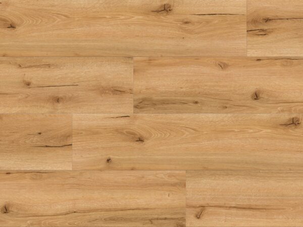 Ambiente TRC-8018